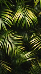 Obraz premium Lush Green Palm Fronds in a Tropical Setting