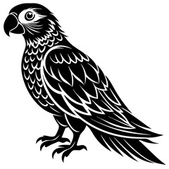 Parrot bird silhouette vector