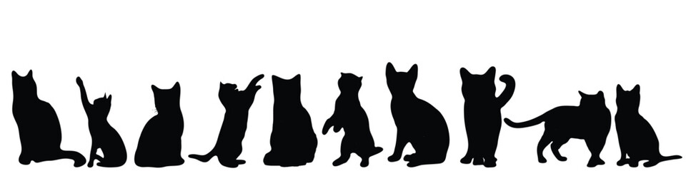 A row of black and white cats are sitting in a line, cat poses silhouette, cats silhouette