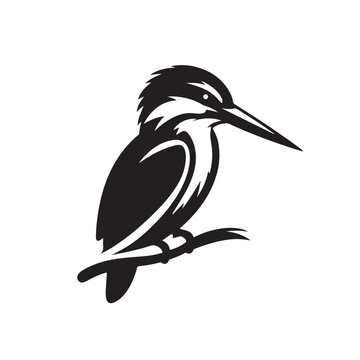 recommend clip art: a kingfisher black and white , vector , art