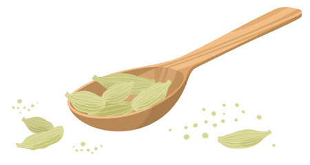 Cardamom in a wooden spoon, crumbs. Vector illustration of spice pods in a textured wooden spoon isolated on a white background.