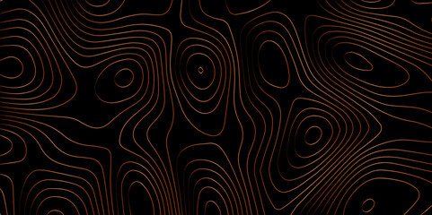Abstract light pattern Vector illustration. Topographic map background concept. Vibrant neon lights pulsating patterns. Colorful topography contour lines isolated on black background.	