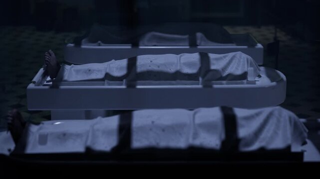 Morgue, three dead bodies ready for autopsy