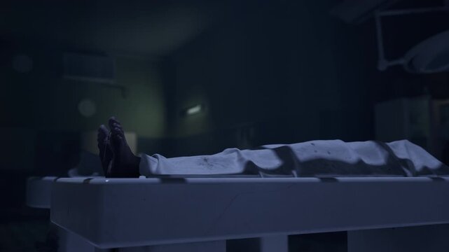 Morgue, three dead bodies ready for autopsy