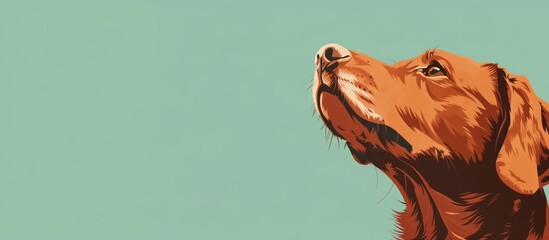 Flat drawing of a dog's head looking up on a uniform background. Empty space for text. Theme of veterinary medicine, food and pet care.