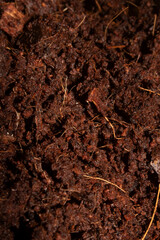 Close Up Of Moist Brown Fresh Soil on a White Background