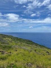 Grassy coastal hillside in Hawaii
