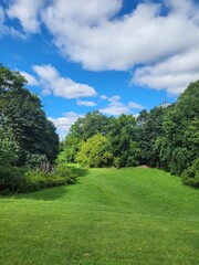 landscape with trees and sky