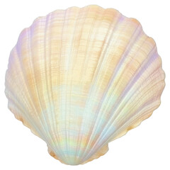 PNG Iridescent seashell coastal decor