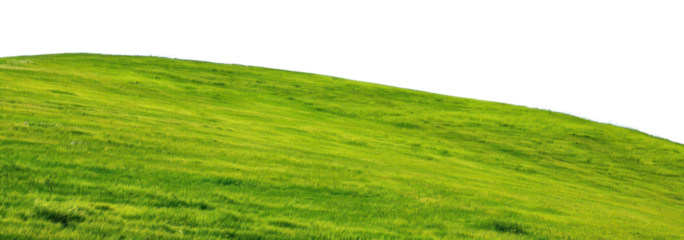 PNG Vibrant green hill landscape