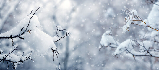 Tree branches covered with a large cap of snow during snowfall