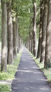 groen in de provincie Gelderland