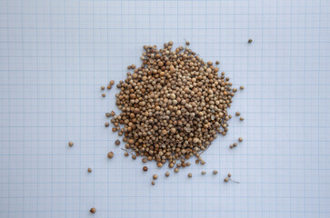 coriander seed on graph paper for the concept of size