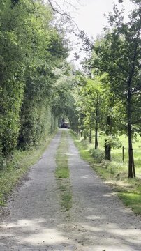 groen in de provincie Gelderland