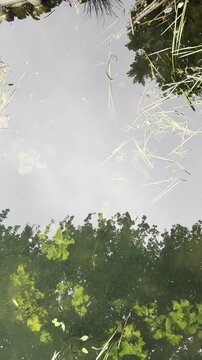 Meer in Gelderland, Nederland
