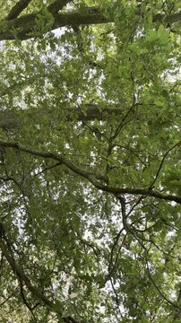 groen in de provincie Gelderland