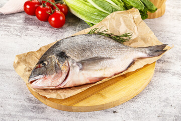 Raw dorada fish served rosemary