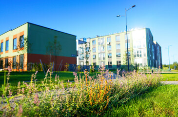 Green lawn at New Modern complex of multi-apartment residential buildings. Landscape design at Townhouse backyard garden. Green grass, manicured lawn, flowerbed with deciduous shrubs in urbanization.
