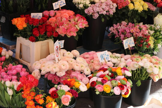 Beautiful flowers in sale in the provençal market of the Cours Saleya in the old town of Nice City, France.
