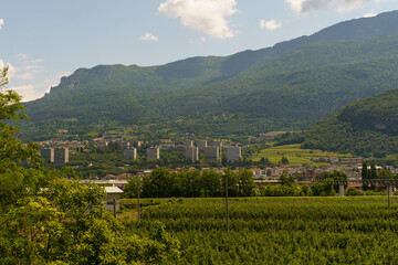 A Rural Retreat Beneath Majestic Alps on a Sunny Summer Day