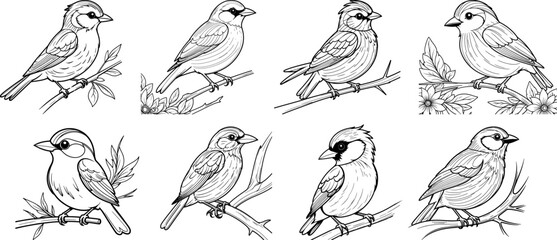 Weaver Bird hand drawing coloring page and outline vector design