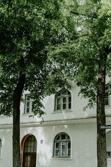 People Walking and Cycling on a Busy Street in Munich, Germany – Urban Life and City Atmosphere