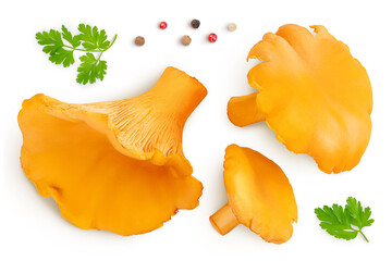 Chanterelle mushroom isolated on a white background. Top view. Flat lay