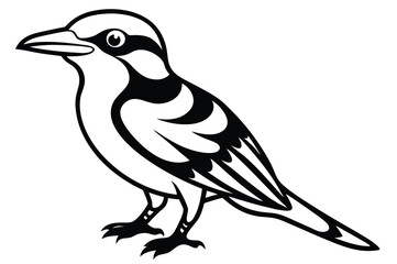 kookaburra silhouette vector illustration .