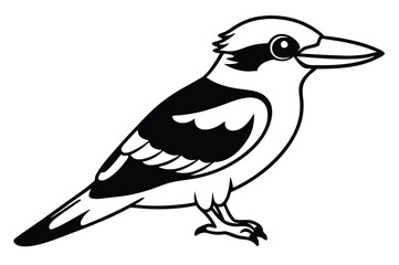 kookaburra silhouette vector illustration .