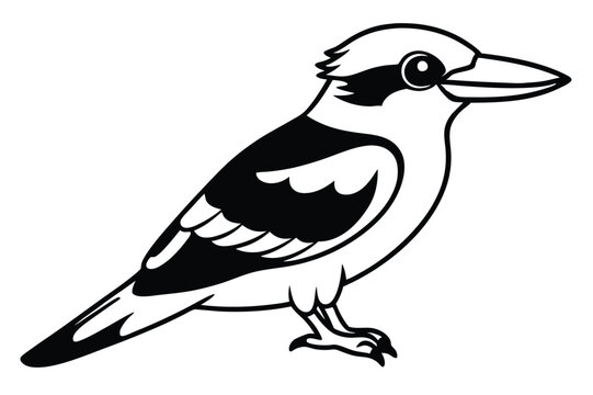 recommend clip art: kookaburra silhouette vector illustration .