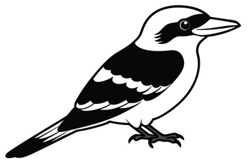 kookaburra silhouette vector illustration .