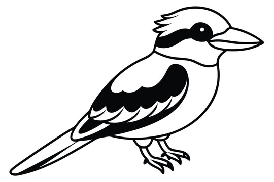 recommend clip art: kookaburra silhouette vector illustration .