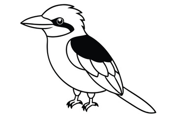 kookaburra silhouette vector illustration .