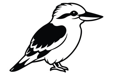 kookaburra silhouette vector illustration .