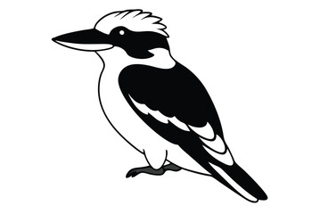 kookaburra silhouette vector illustration .