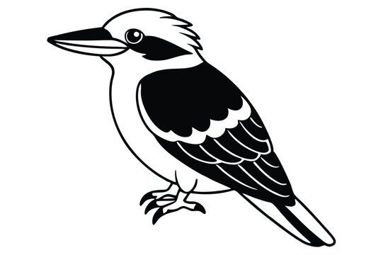 recommend clip art: kookaburra silhouette vector illustration .