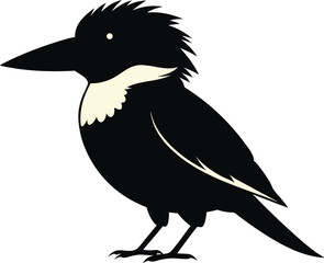 kookaburra silhouette vector illustration .