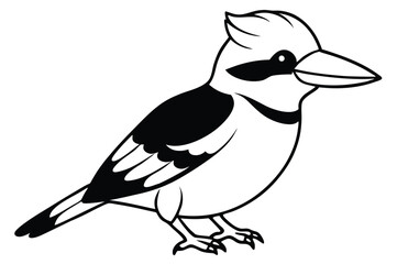 kookaburra silhouette vector illustration .
