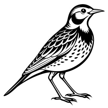black and white bird standing profile clip art preview