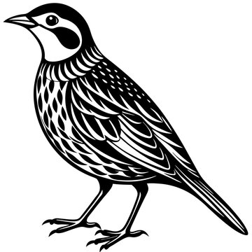 black and white bird standing profile clip art preview