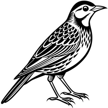 black and white bird standing profile clip art preview