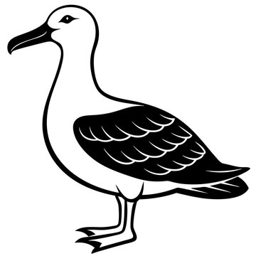 recommend clip art: Albatross art vector