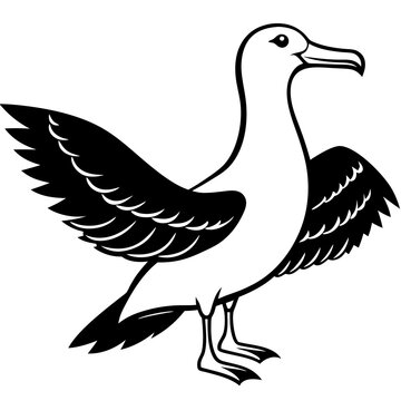 recommend clip art: Albatross art vector