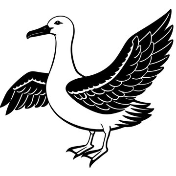 recommend clip art: Albatross art vector