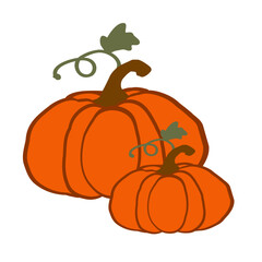 Two beautifully shaped orange pumpkins with green vines indoors during autumn with a cozy fall atmosphere