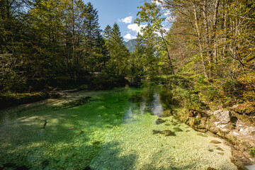Slovenia river green turquoise nature forest