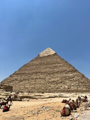 Timeless Pyramid of Giza