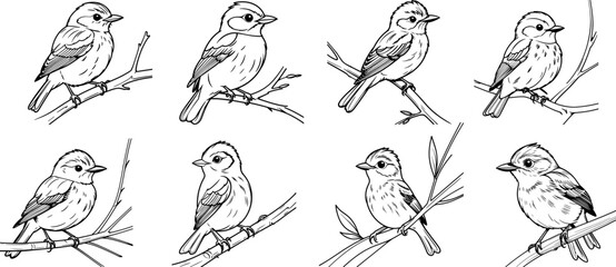 Naklejka premium Willow Flycatcher bird hand drawing coloring page and outline vector design
