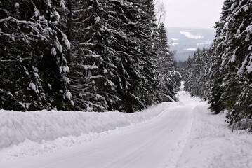 Snowy road in Sweden