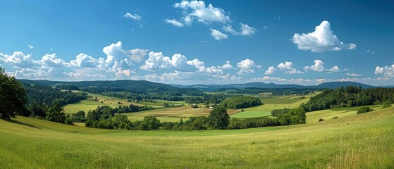 Fototapeta premium Serene Countryside Scene with Blue Sky and Fluffy Clouds